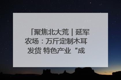 聚焦北大荒｜延军农场：万斤定制木耳发货 特色产业“成绩单”亮眼