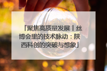 聚焦高质量发展丨丝博会里的技术脉动：陕西科创的突破与想象