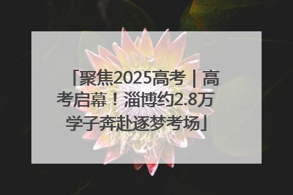 聚焦2025高考｜高考启幕！淄博约2.8万学子奔赴逐梦考场