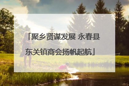 聚乡贤谋发展 永春县东关镇商会扬帆起航