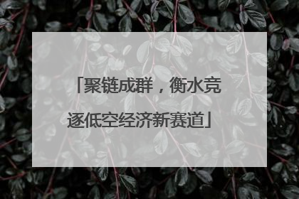 聚链成群，衡水竞逐低空经济新赛道