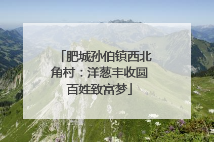 肥城孙伯镇西北角村：洋葱丰收圆百姓致富梦