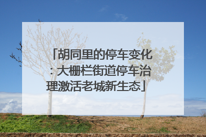 胡同里的停车变化：大栅栏街道停车治理激活老城新生态