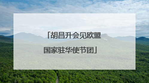 胡昌升会见欧盟国家驻华使节团