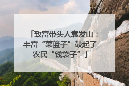 致富带头人袁发山：丰富“菜篮子”鼓起了农民“钱袋子”