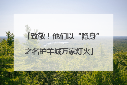 致敬！他们以“隐身”之名护羊城万家灯火
