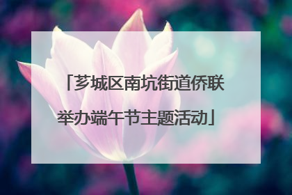 芗城区南坑街道侨联举办端午节主题活动