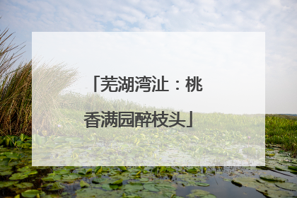 芜湖湾沚：桃香满园醉枝头