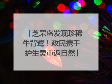 芝罘岛发现珍稀牛背鹭！政民携手护生灵重返自然