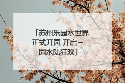 苏州乐园水世界正式开园 开启三园水陆狂欢