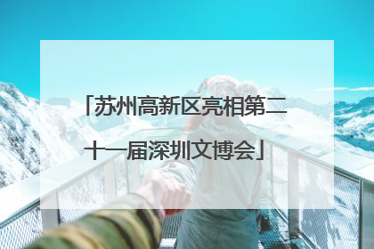 苏州高新区亮相第二十一届深圳文博会