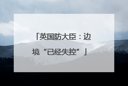 英国防大臣：边境“已经失控”