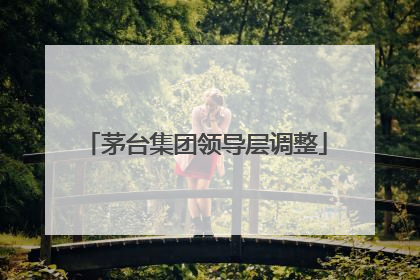 茅台集团领导层调整