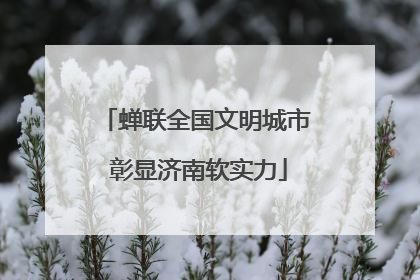 蝉联全国文明城市 彰显济南软实力