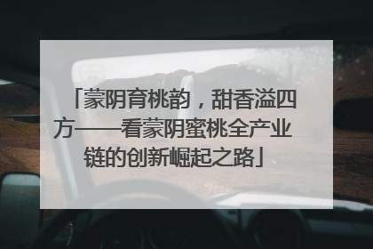 蒙阴育桃韵，甜香溢四方——看蒙阴蜜桃全产业链的创新崛起之路