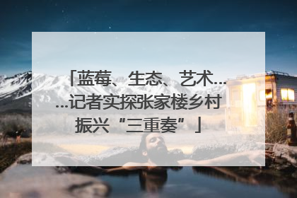 蓝莓、生态、艺术……记者实探张家楼乡村振兴“三重奏”