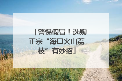 警惕假冒！选购正宗“海口火山荔枝”有妙招