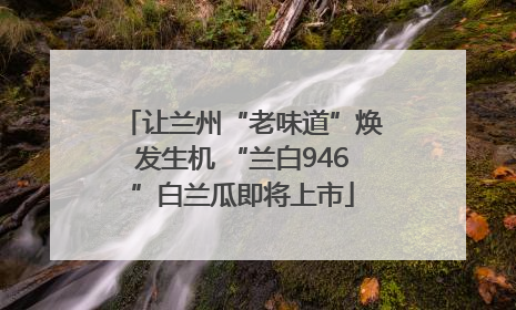 让兰州“老味道”焕发生机 “兰白946”白兰瓜即将上市
