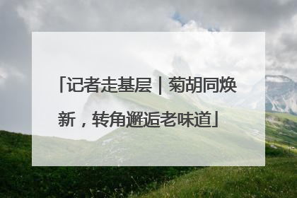 记者走基层｜菊胡同焕新，转角邂逅老味道