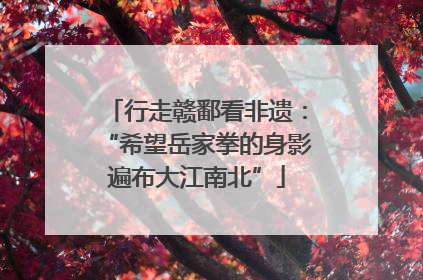 行走赣鄱看非遗：“希望岳家拳的身影遍布大江南北”