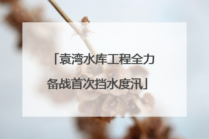 袁湾水库工程全力备战首次挡水度汛
