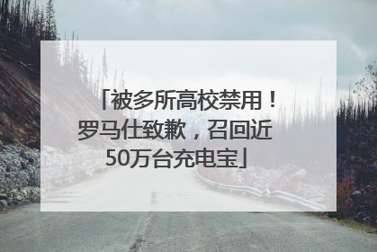 被多所高校禁用！罗马仕致歉，召回近50万台充电宝