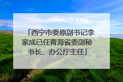 西宁市委原副书记李家成已任青海省委副秘书长、办公厅主任