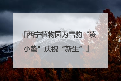 西宁植物园为雪豹“凌小蛰”庆祝“新生”