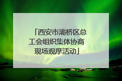 西安市灞桥区总工会组织集体协商现场观摩活动