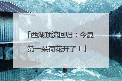 西湖顶流回归：今夏第一朵荷花开了！