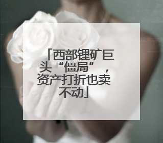 西部锂矿巨头“僵局”，资产打折也卖不动