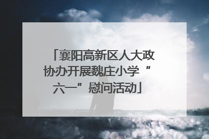 襄阳高新区人大政协办开展魏庄小学“六一”慰问活动