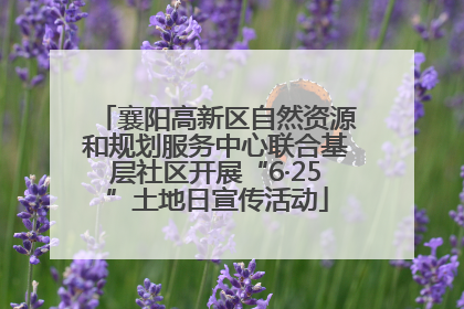 襄阳高新区自然资源和规划服务中心联合基层社区开展“6·25”土地日宣传活动