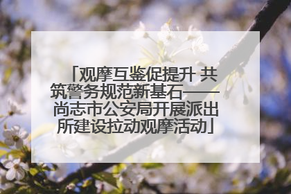 观摩互鉴促提升 共筑警务规范新基石——尚志市公安局开展派出所建设拉动观摩活动
