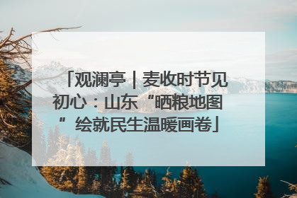 观澜亭｜麦收时节见初心：山东“晒粮地图”绘就民生温暖画卷
