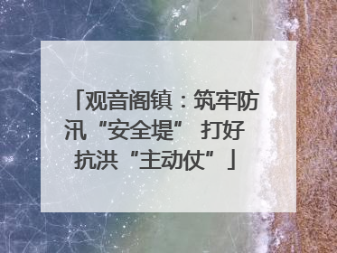 观音阁镇：筑牢防汛“安全堤” 打好抗洪“主动仗”