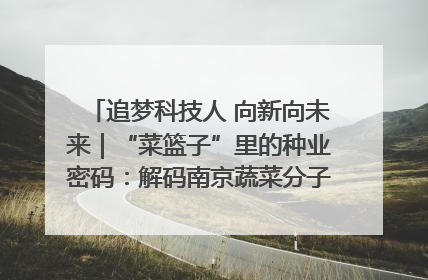 追梦科技人 向新向未来｜“菜篮子”里的种业密码：解码南京蔬菜分子育种的创新之路