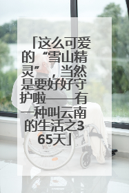 这么可爱的“雪山精灵”，当然是要好好守护啦——有一种叫云南的生活之365天