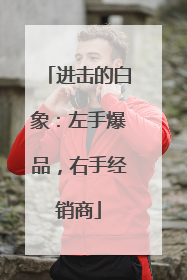 进击的白象：左手爆品，右手经销商