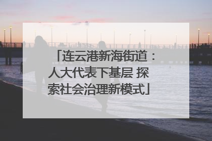 连云港新海街道：人大代表下基层 探索社会治理新模式