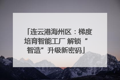 连云港海州区：梯度培育智能工厂 解锁“智造”升级新密码