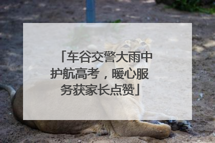 车谷交警大雨中护航高考，暖心服务获家长点赞