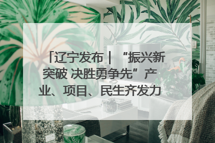 辽宁发布｜“振兴新突破 决胜勇争先”产业、项目、民生齐发力 葫芦岛按下决胜之年“加速键”