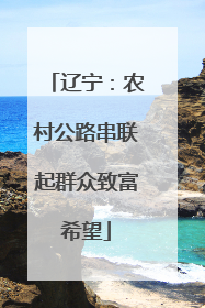 辽宁：农村公路串联起群众致富希望