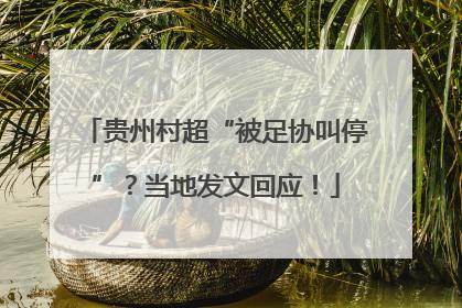 贵州村超“被足协叫停”？当地发文回应！