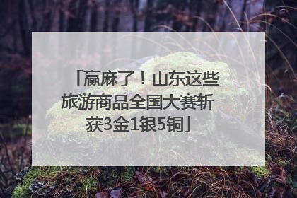 赢麻了！山东这些旅游商品全国大赛斩获3金1银5铜