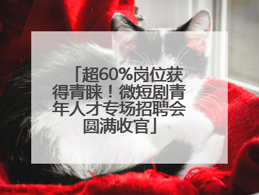 超60%岗位获得青睐！微短剧青年人才专场招聘会圆满收官