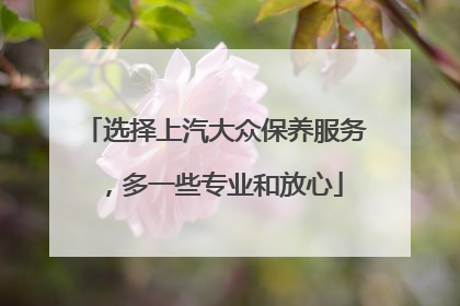 选择上汽大众保养服务，多一些专业和放心