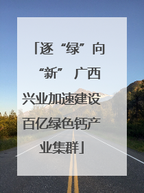 逐“绿”向“新” 广西兴业加速建设百亿绿色钙产业集群