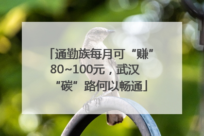 通勤族每月可“赚”80~100元，武汉“碳”路何以畅通